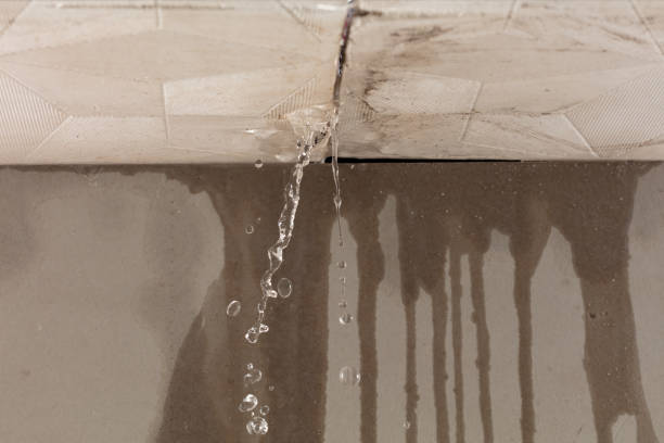 Professional Water Damage Restoration technician working in Franklin Park, NJ